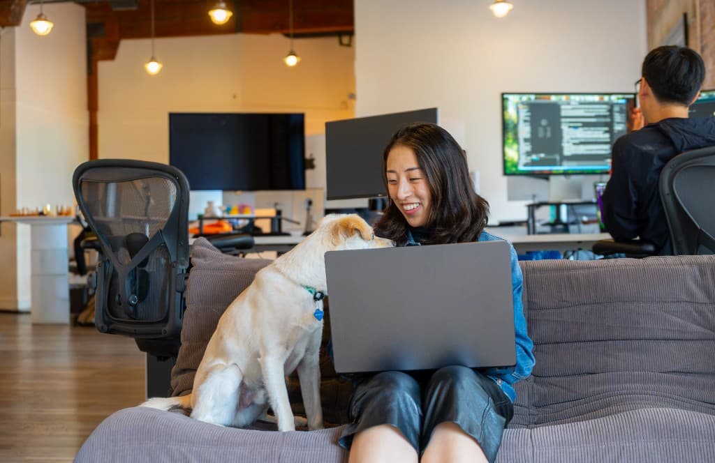 A Gumlooper working from the office couch beside a dog